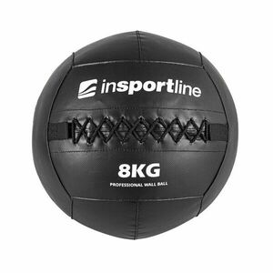 inSPORTline Posilovací míč Walbal SE 8 kg obraz