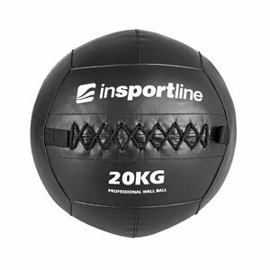 inSPORTline Posilovací míč Walbal SE 20 kg obraz