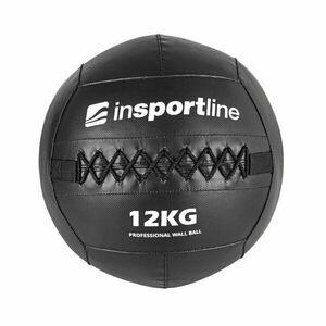 inSPORTline Posilovací míč Walbal SE 12 kg obraz