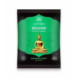Good Nature Zlatý doušek Ajurvédská káva Brahmi 100 g obraz