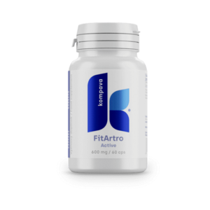 KOMPAVA Fit Artro Aktiv 600 mg/60 kps obraz