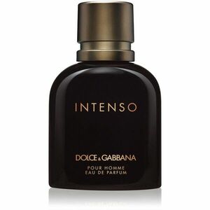 Dolce&Gabbana Pour Homme Intenso parfémovaná voda pro muže 75 ml obraz