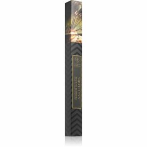 Ashleigh & Burwood London Nag Champa vonné tyčinky 30 ks obraz