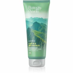 Bottega Verde Cedro Selvaggio sprchový gel a šampon 2 v 1 200 ml obraz