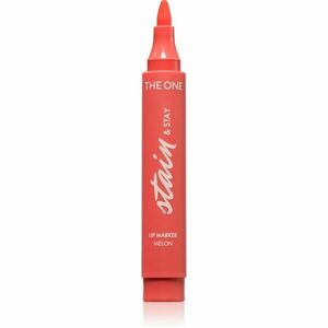 Oriflame The One Stain & Stay dlouhotrvající rtěnka ve fixu odstín Melon 2.5 g obraz