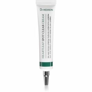 Dr. HEDISON Heartleaf Spot Clear lokální péče proti akné 30 ml obraz