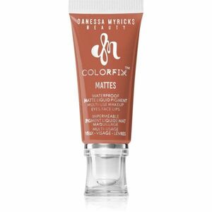 Danessa Myricks Beauty Colorfix Mattes multifunkční líčidlo pro oči, rty a tvář odstín Gingerbread 10 ml obraz