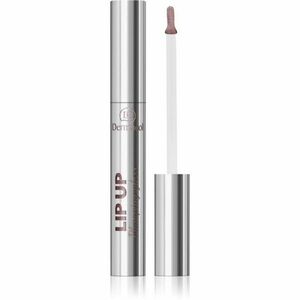 Dermacol Lip Up lesk na rty pro větší objem odstín 2 3 ml obraz