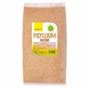WOLFBERRY Psyllium drcené 500 g obraz