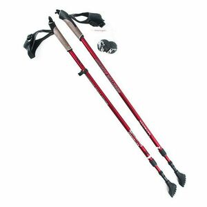 NILS Extreme NW 802 nordic walking hole obraz