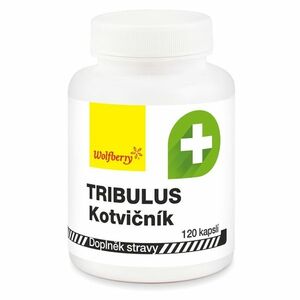 WOLFBERRY Tribulus terrestris kotvičník zemní 120 kapslí obraz
