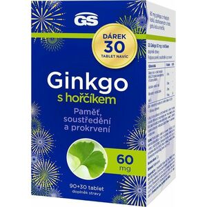 GS Ginkgo 60mg s hořčíkem 60 tablet obraz