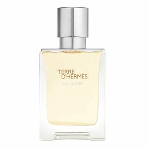 HERMÈS - Terre d’Hermès Eau Givrée - Parfémová voda obraz