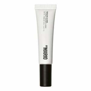 MAKEUP BY MARIO - Perfecting Lip Scrub – Exfoliační peeling na rty obraz