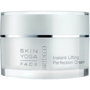 Artdeco Zpevňující a regenerační anti-age krém Instant Lifting (Perfection Cream) 50 ml obraz