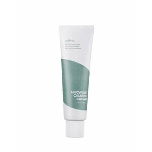 Isntree Zklidňující pleťový krém Mugwort (Calming Cream) 50 ml obraz
