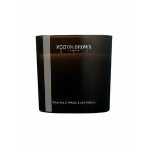 Molton Brown Vonná svíčka Coastal Cypress & Sea Fennel (Scented Candle) 600 g obraz