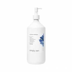 Simply Zen Šampon pro časté mytí vlasů Equilibrium (Shampoo) 1000 ml obraz