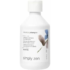 Simply Zen Detoxikační šampon na vlasy Detoxifying (Shampoo) 250 ml obraz