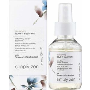 Simply Zen Bezoplachová detoxikační kúra Detoxifying (Leave In Treatment) 100 ml obraz
