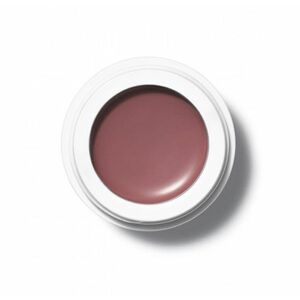 (M)ANASI 7 Přírodní multilíčidlo Beauty Evolution All Over Colour (Multi-Use Organic Cream Colour) 5 g Sisserou obraz