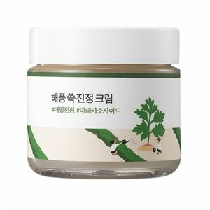 ROUND LAB Zklidňující pleťový krém s pelyňkem Mugwort (Cream) 80 ml obraz