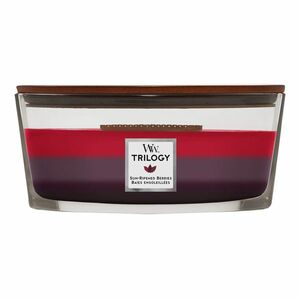 WoodWick Vonná svíčka loď Trilogy Sun Ripened Berries 453 g obraz