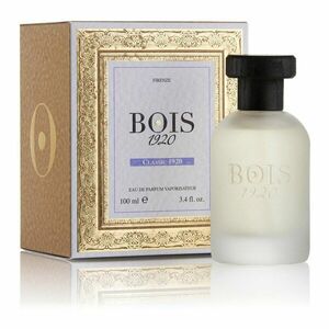 Bois 1920 obraz