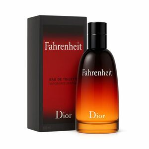 Dior Fahrenheit - EDT 100 ml obraz