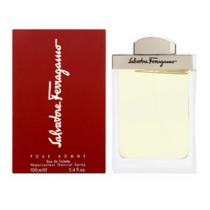 Salvatore Ferragamo Pour Homme - toaletní voda s rozprašovačem 100 ml obraz