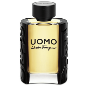Salvatore Ferragamo Uomo - EDT - TESTER 100 ml obraz