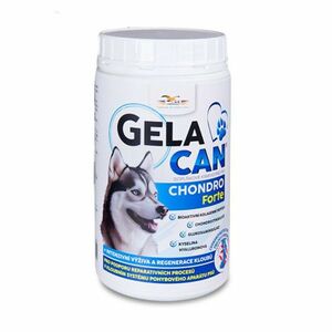 GELACAN Gelacan Fast 500 g obraz