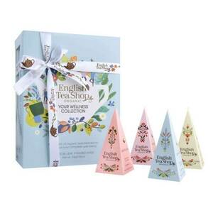 English Tea Shop Dárková kolekce Your wellness modrá BIO 12 pyramidek obraz