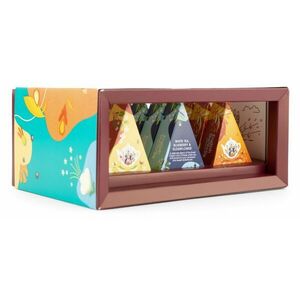 English Tea Shop Dárková kolekce Wellness 12 pyramidek BIO obraz