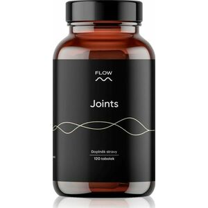 Flow nutrition Joints 2.0 120 tobolek obraz