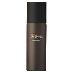 HERMÈS - Terre d'Hermès - Deodorant ve spreji obraz