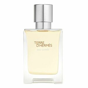 HERMÈS - Terre d’Hermès Eau Givrée - Parfémová voda obraz