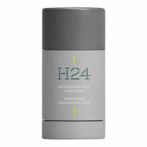 HERMÈS - H24 - Tuhý deodorant obraz