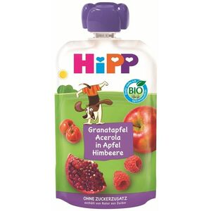 HIPP BIO Hippis 100% ovoce Jablko-Maliny-Granátové jablko-Acerola 100 g obraz