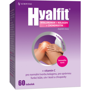 HYALFIT 60 tobolek obraz