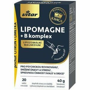 VITAR Lipomagne + B komplex 20 x 2 g obraz