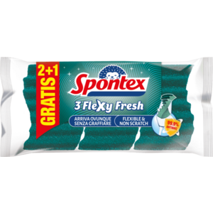 SPONTEX Fresh houbička 2+1 ZDARMA obraz
