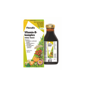 SALUS Floradix Vitamin-B-komplex 250 ml obraz