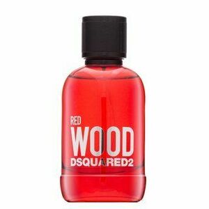 Dsquared2 Red Wood toaletní voda pro ženy 100 ml obraz