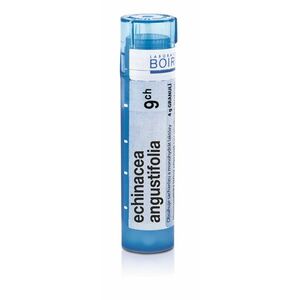 Boiron ECHINACEA ANGUSTIFOLIA CH9 granule 4 g obraz