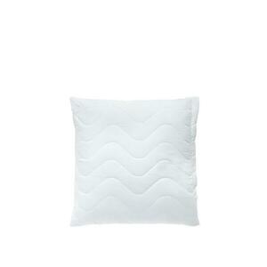 SCANquilt polštářek CLASSIC 45 x 45 cm obraz