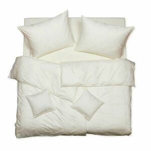 SCANquilt povlečení EXCLUSIVE TENCEL PLUS peříčka smetanová 140 x 200/70 x 90 cm obraz