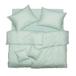 SCANquilt povlečení EXCLUSIVE TENCEL PLUS peříčka eukalyptová 140 x 200/70 x 90 cm obraz