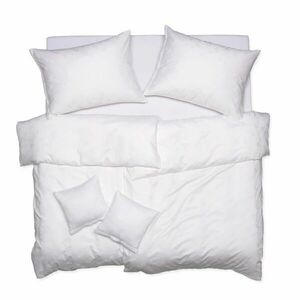 SCANquilt povlečení EXCLUSIVE TENCEL PLUS peříčka bílá 140 x 200/70 x 90 cm obraz