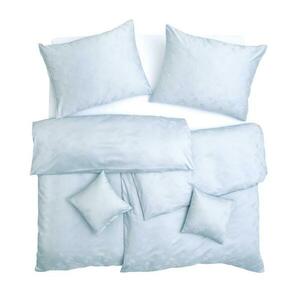 SCANquilt povlečení EXCLUSIVE TENCEL PLUS peříčka světle modrá 140 x 200/70 x 90 cm obraz